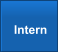 Intern