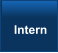 Intern